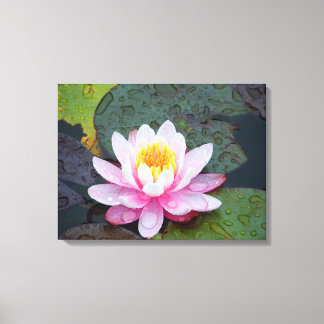 Lienzo Lirio de agua con barra de lluvia Imprimir tela es