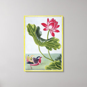 Lienzo Lirio de agua roja chino, volumen I, placa 82, de