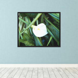 Lienzo Lirio de Calla Blanca y Fotografía de follaje Verd