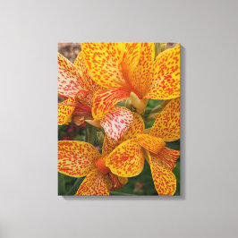 Lienzo Lirio de Canna Amarillo con Flores con Motas Rojas