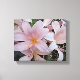 Lienzo Lirio de Resurrección