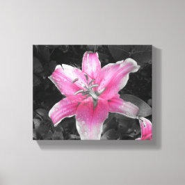 Lienzo Lirio rosa