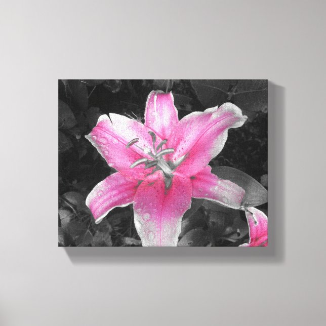 Lienzo Lirio rosa (Anverso)