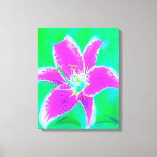 Lienzo Lirio Stargazer Rosa Caliente sobre Turquesa y Ver