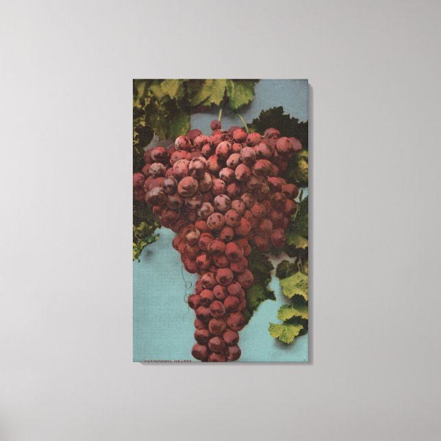 Lienzo Litografía de cromo de fruta de uvas de California (Anverso)