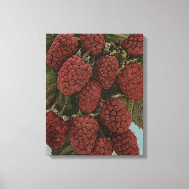 Lienzo Litografía de cromo de frutas del estado de Loganb (Anverso)
