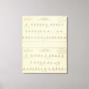 Lienzo Litografía sorda y mucopurulenta, estadística de