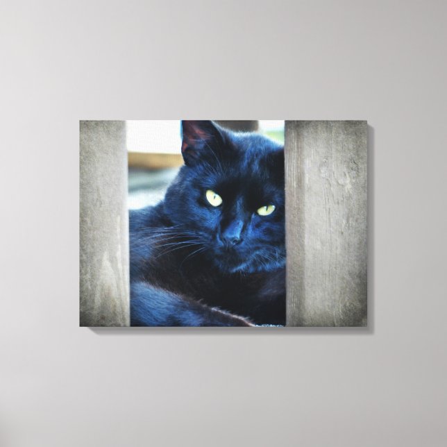 Lienzo Little Black Kitty (Anverso)