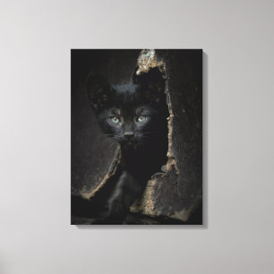 Lienzo Little Black Kitty