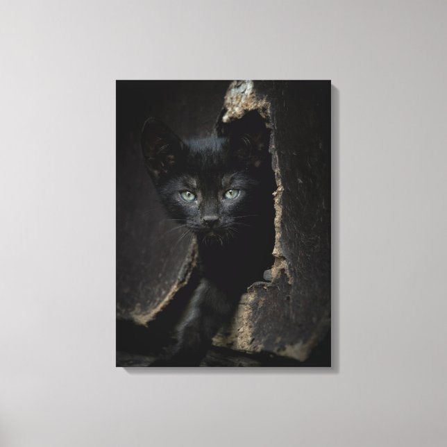 Lienzo Little Black Kitty (Anverso)