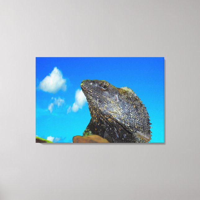 Lienzo Lizard de cuello frito (Anverso)