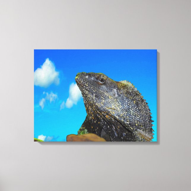 Lienzo Lizard de cuello frito (Anverso)