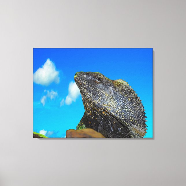 Lienzo Lizard de cuello frito (Anverso)
