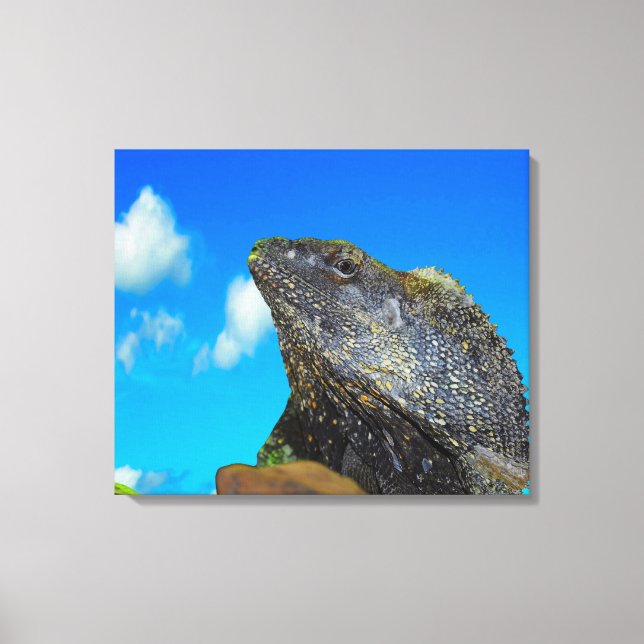 Lienzo Lizard de cuello frito (Anverso)