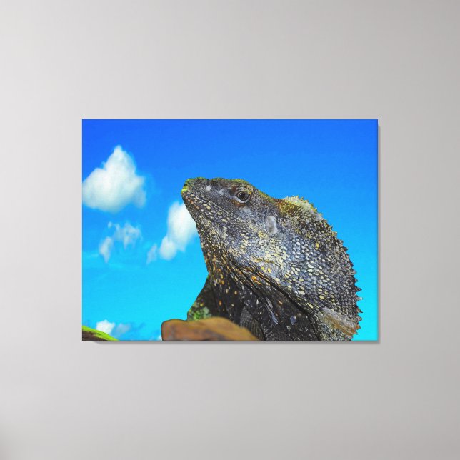 Lienzo Lizard de cuello frito (Anverso)