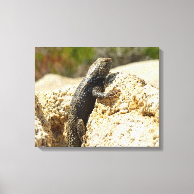Lienzo Lizard espinoso con respaldo amarillo en el árbol  (Anverso)