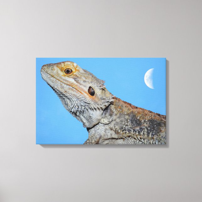Lienzo Lizard gris y media luna (Anverso)