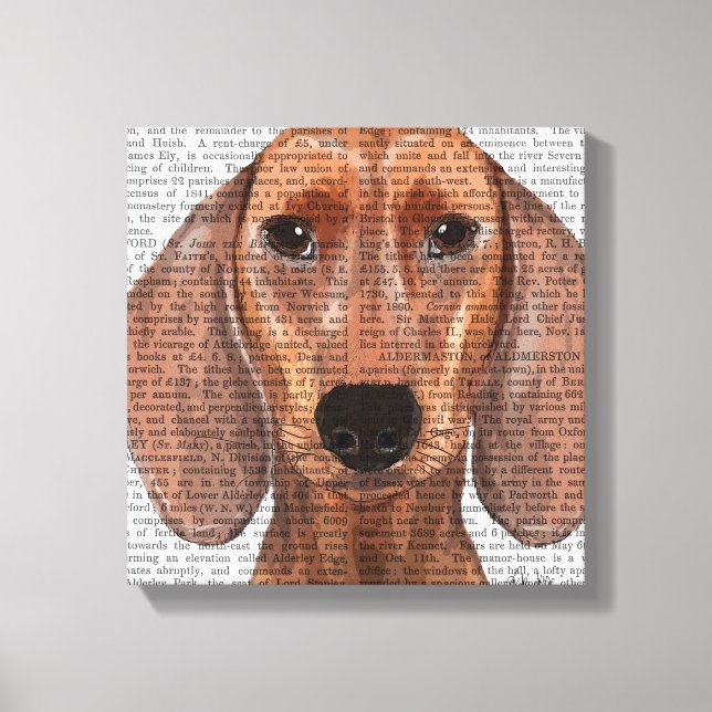 Lienzo Llanura de Ilustracion de Dachshund (Anverso)