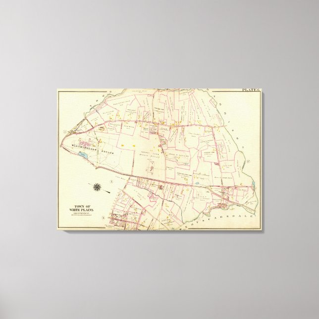 Lienzo Llanuras blancas, Nueva York (Anverso)