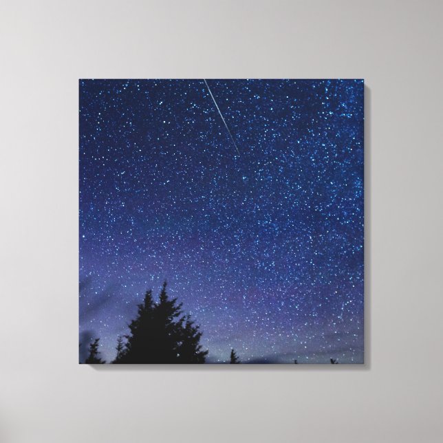 Lienzo Lluvia de meteoros de las Perseidas (Anverso)
