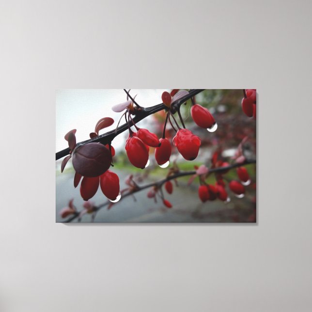 Lienzo Lluvia en ramita (Anverso)