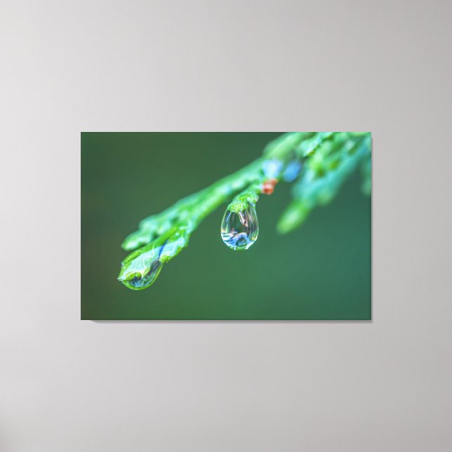 Lienzo Lluvias (Anverso)