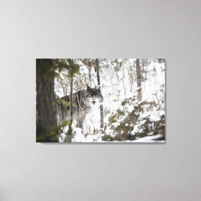 Lienzo Lobo En El Bosque En Invierno (Anverso)