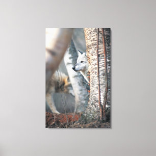 Lienzo Lobo gris detrás del árbol