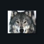 Lienzo Lobo Gris Ojos Tejidos Envueltos<br><div class="desc">Retrato de Lobo Gris con estilo de arte pop - Arte digital de animales salvajes</div>