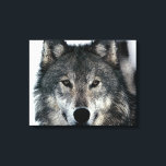 Lienzo Lobo Gris Ojos Tejidos Envueltos<br><div class="desc">Retrato de Lobo Gris con estilo de arte pop - Arte digital de animales salvajes</div>