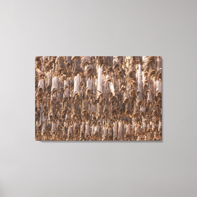 Lienzo Lofoten Stockfish (Anverso)