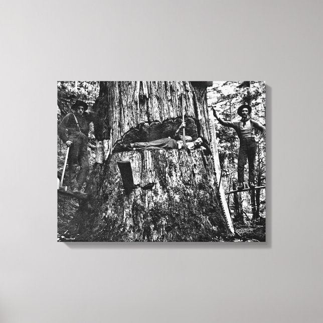 Lienzo LOGGERS CANADIENSES c. 1890 (Anverso)