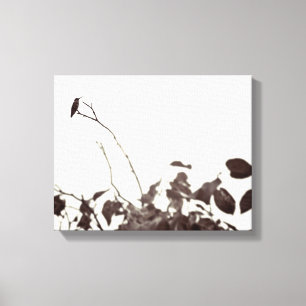 Lienzo Lona envuelta 14x11 encaramada del colibrí