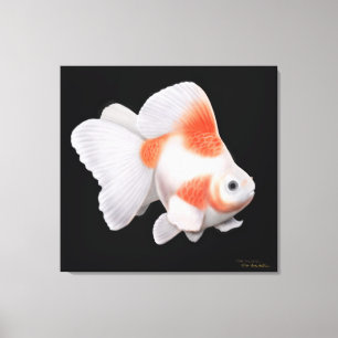Lienzo Lona envuelta Goldfish de la cola de milano de