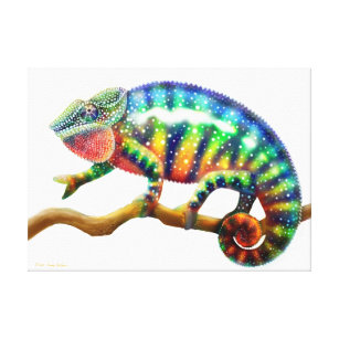 Lienzo Lona envuelta lagarto colorido del camaleón de la