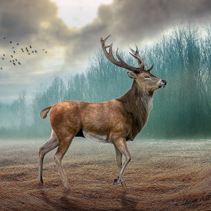 Lienzo Lone Deer In Misty Forest