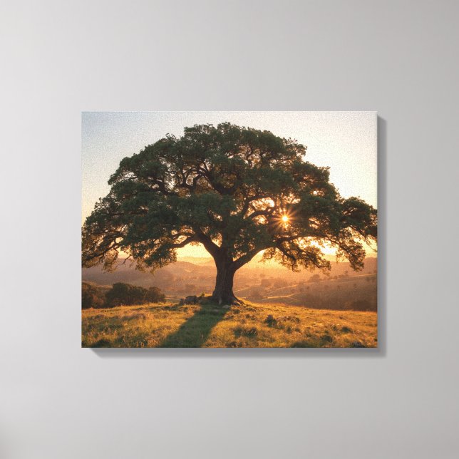Lienzo Lone Oak Hill Country Poster - Texas Landscape  (Anverso)