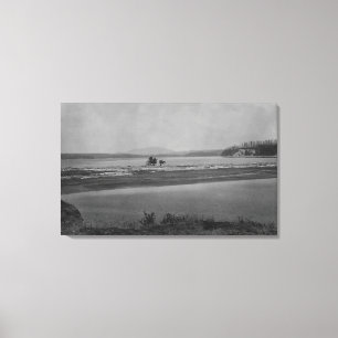 Lienzo López, WA - Ver la montaña de la tortuga de vuelta