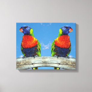 Lienzo Lorikeets arcoiris colgados en una rama