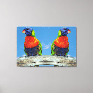 Lienzo Lorikeets arcoiris colgados en una rama