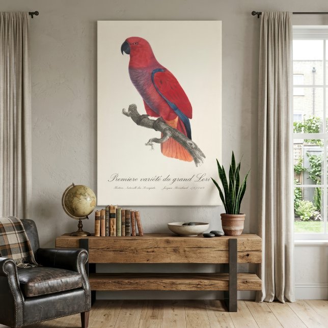 Lienzo Loro Eclecto de Vosmaer, Eclectus Roratus Vosmaeri (Vosmaer Eclectus Parrot, Eclectus Roratus Vosmaeri. Canvas Print)