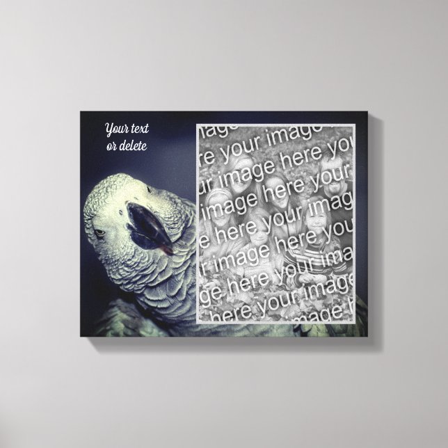 Lienzo Loro gris africano crea tu propia foto (Anverso)