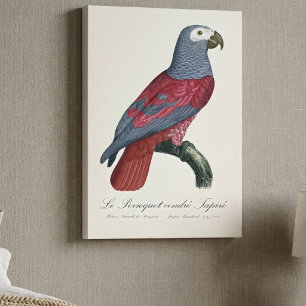 Lienzo Loro Gris Africano Factor Rojo Psittacus Erithacus