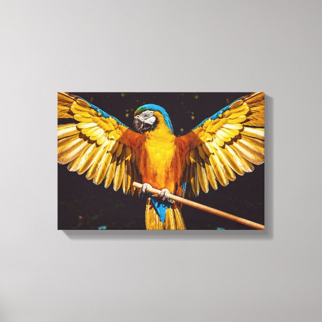 Lienzo Loro Tropical En Una Percha (Anverso)