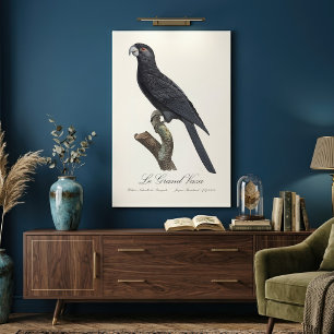 Lienzo Loro Vaza mayor / Loro Vaza Grande