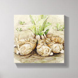 Lienzo Los conejitos flopsy dormidos (por Beatrix Potter)