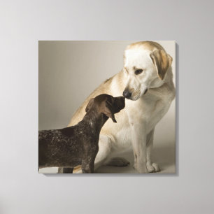 Lienzo Los E.E.U.U., California, San Francisco