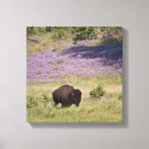 Lienzo Los E.E.U.U., Dakota del Sur, bisonte americano
