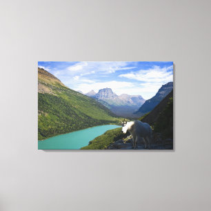 Lienzo Los E.E.U.U., Montana, Parque Nacional Glacier,