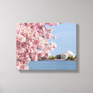 Lienzo Los E.E.U.U., Washington DC, cerezo